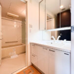 ロイヤルパークスタワー南千住の室内写真　1SLDK洗面台